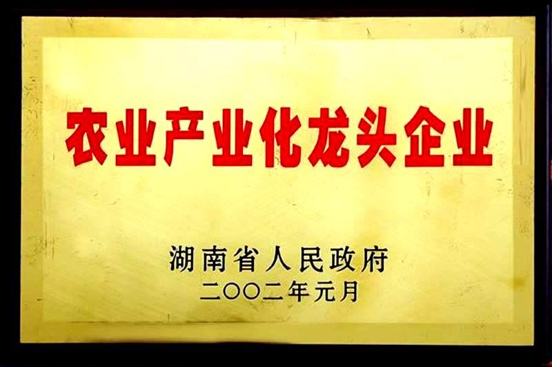 湖南省农业产业化国家龙头企业